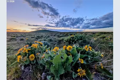 905 Randall Rd #Lot 2, Centerville, WA 98613 - Photo 5