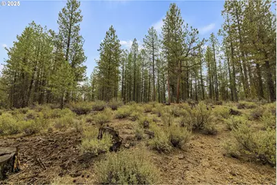 Bare Land, Chiloquin, OR 97624 - Photo 25