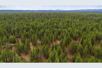 Bare Land, Chiloquin, OR 97624 - Photo 19