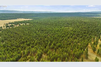 Bare Land, Chiloquin, OR 97624 - Photo 5