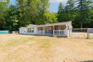 308 Saddle Rd, Amboy, WA 98601 - Photo 3