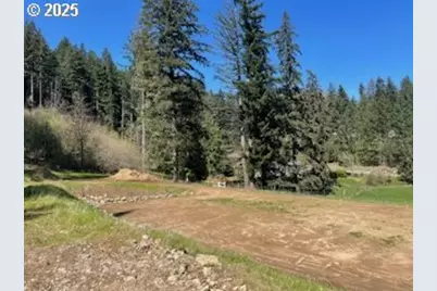 62 Wallace Creek Rd, Carson, WA 98610 - Photo 1