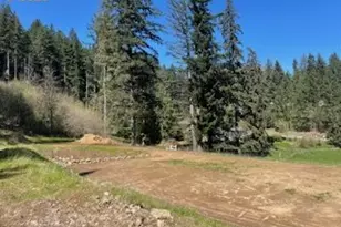 62 Wallace Creek Rd, Carson, WA 98610 - Photo 1