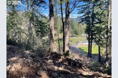 62 Wallace Creek Rd, Carson, WA 98610 - Photo 11