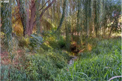 192 Honey Suckle Ln, The Dalles, OR 97058 - Photo 41