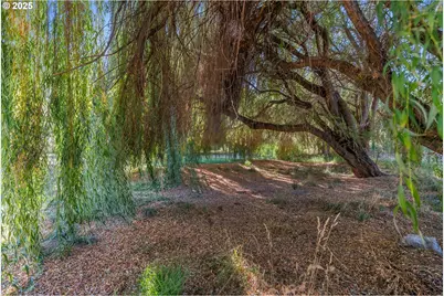 192 Honey Suckle Ln, The Dalles, OR 97058 - Photo 33