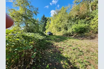 4733 Green Mountain Rd, Kalama, WA 98625 - Photo 15