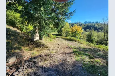 4733 Green Mountain Rd, Kalama, WA 98625 - Photo 13