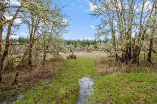 40440 Big Fall Creek Rd, Fall Creek, OR 97438 - Photo 23