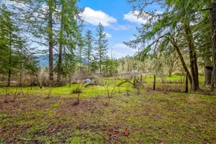 40440 Big Fall Creek Rd, Fall Creek, OR 97438 - Photo 21