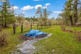 40440 Big Fall Creek Rd, Fall Creek, OR 97438 - Photo 25