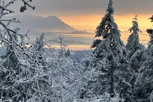 35001 Northernwood Dr, Brownsville, OR 97327 - Photo 43