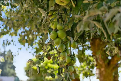 6869 S Knights Bridge Rd, Canby, OR 97013 - Photo 35