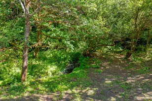 55593 Glen Aiken Creek Rd, Coquille, OR 97423 - Photo 43