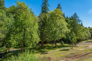 55593 Glen Aiken Creek Rd, Coquille, OR 97423 - Photo 39