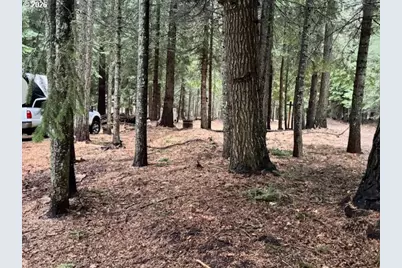 58466 Wildwood Loop, Weston, OR 97886 - Photo 3