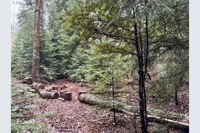 58466 Wildwood Loop, Weston, OR 97886 - Photo 9