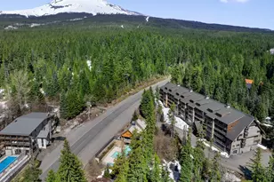 31244 E Collins Lake Rd, Government Camp, OR 97028 - Photo 3