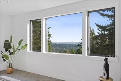 12 Hidalgo St, Lake Oswego, OR 97035 - Photo 23