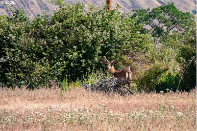 Wamic Market Rd, Tygh Valley, OR 97063 - Photo 11