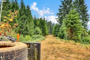 [Address not provided], Scotts Mills, OR 97375 - Photo 35