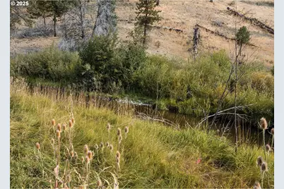 60813 Canyon Creek Ln, Canyon City, OR 97820 - Photo 3