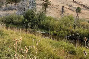 60813 Canyon Creek Ln, Canyon City, OR 97820 - Photo 3