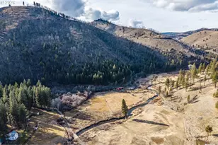 60813 Canyon Creek Ln, Canyon City, OR 97820 - Photo 33