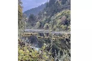 9643 Old Hwy 99, Dillard, OR 97432 - Photo 7