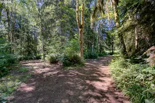 38714 NE Elliott Rd, Yacolt, WA 98675 - Photo 41