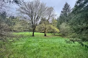 23939 Raze Rd, Elmira, OR 97437 - Photo 41