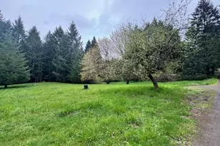 23939 Raze Rd, Elmira, OR 97437 - Photo 37