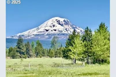 1684 Bz Glenwood Hwy, Glenwood, WA 98619 - Photo 3