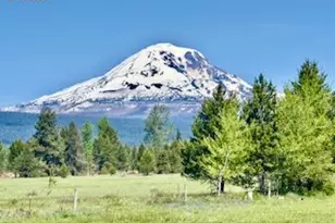 1684 Bz Glenwood Hwy, Glenwood, WA 98619 - Photo 3