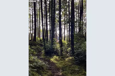 810 SW Wakeetum St, Waldport, OR 97394 - Photo 43