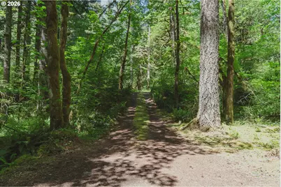 77480 E Road 35B #Lot 29, Government Camp, OR 97028 - Photo 45