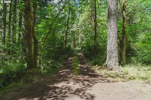 77480 E Road 35B, Government Camp, OR 97028 - Photo 45