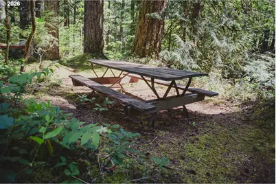 77480 E Road 35B #Lot 29, Government Camp, OR 97028 - Photo 37