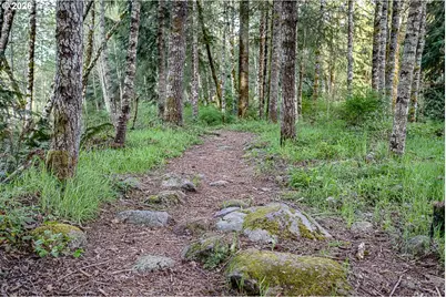 22260 E Wild Fern Ln, Brightwood, OR 97011 - Photo 37
