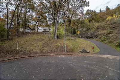 487 SE Dos Gatos Ct, Roseburg, OR 97470 - Photo 47