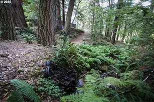 1107 Winchuck River Rd, Brookings, OR 97415 - Photo 23