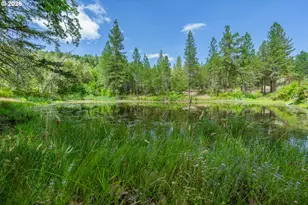 895 Mulberry Ln, Roseburg, OR 97471 - Photo 33