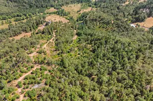 895 Mulberry Ln, Roseburg, OR 97471 - Photo 23