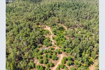 895 Mulberry Ln, Roseburg, OR 97471 - Photo 25