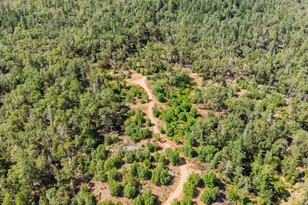 895 Mulberry Ln, Roseburg, OR 97471 - Photo 25