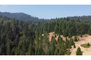 911 Tunnel Rd, Glendale, OR 97442 - Photo 27