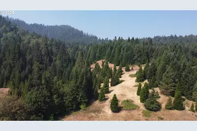 911 Tunnel Rd, Glendale, OR 97442 - Photo 15