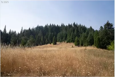 911 Tunnel Rd, Glendale, OR 97442 - Photo 17