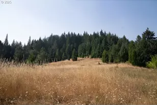 911 Tunnel Rd, Glendale, OR 97442 - Photo 17