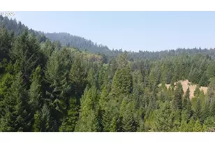 911 Tunnel Rd, Glendale, OR 97442 - Photo 25